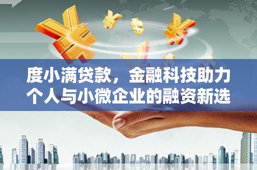 永修度小满贷款，金融科技助力个人与小微企业的融资新选择