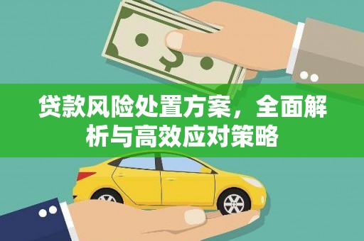 永修贷款风险处置方案，全面解析与高效应对策略