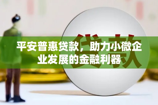 永修平安普惠贷款，助力小微企业发展的金融利器