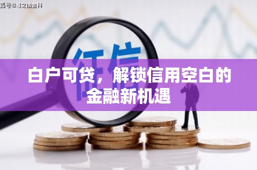 永修白户可贷，解锁信用空白的金融新机遇