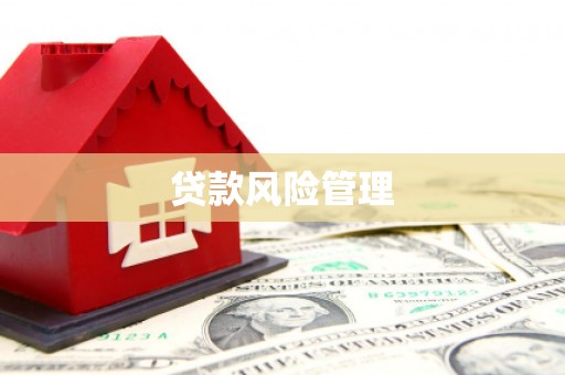 永修贷款风险管理