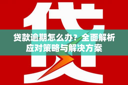 永修贷款逾期怎么办？全面解析应对策略与解决方案