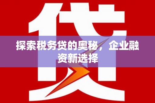 永修探索税务贷的奥秘，企业融资新选择