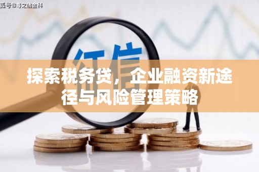 永修探索税务贷，企业融资新途径与风险管理策略