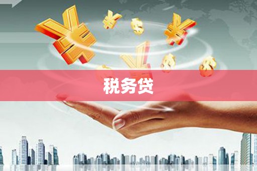 永修税务贷