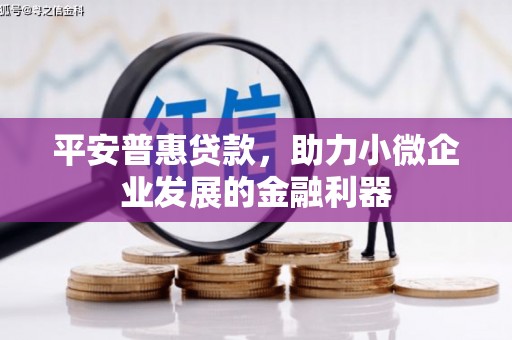 永修平安普惠贷款，助力小微企业发展的金融利器