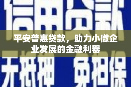 永修平安普惠贷款，助力小微企业发展的金融利器