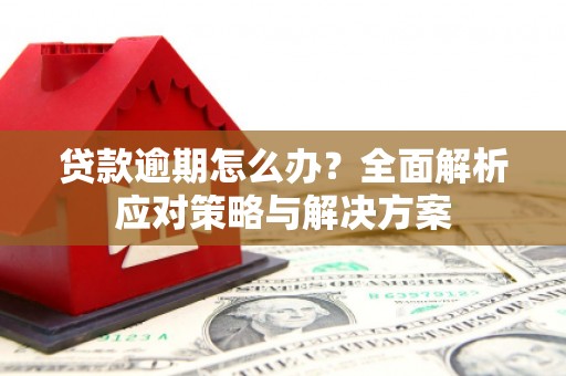 永修贷款逾期怎么办？全面解析应对策略与解决方案