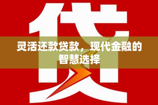 永修灵活还款贷款，现代金融的智慧选择