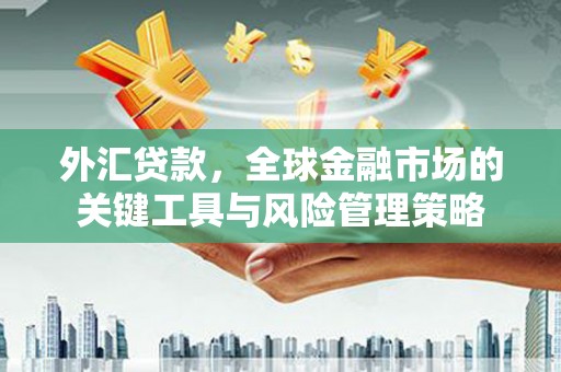 永修外汇贷款，全球金融市场的关键工具与风险管理策略