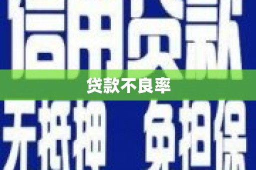 永修贷款不良率