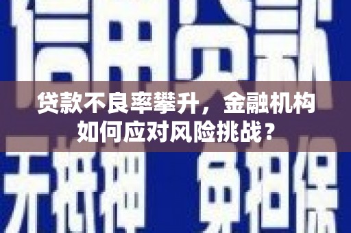 永修贷款不良率攀升，金融机构如何应对风险挑战？