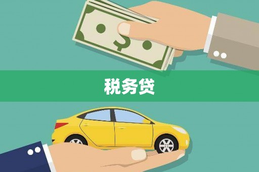 永修税务贷