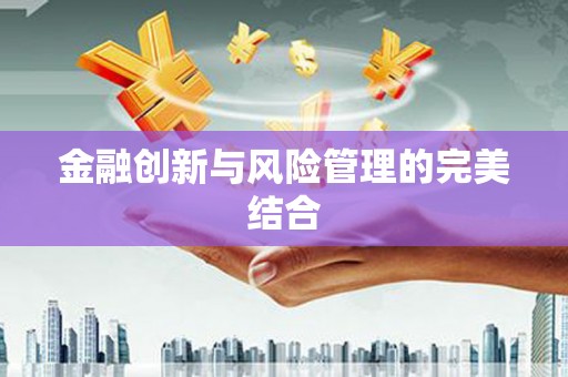 永修金融创新与风险管理的完美结合