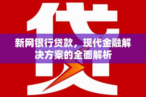 永修新网银行贷款，现代金融解决方案的全面解析