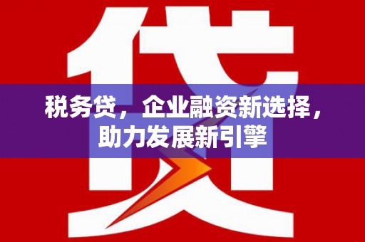 永修税务贷，企业融资新选择，助力发展新引擎