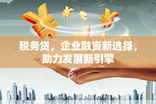永修税务贷，企业融资新选择，助力发展新引擎