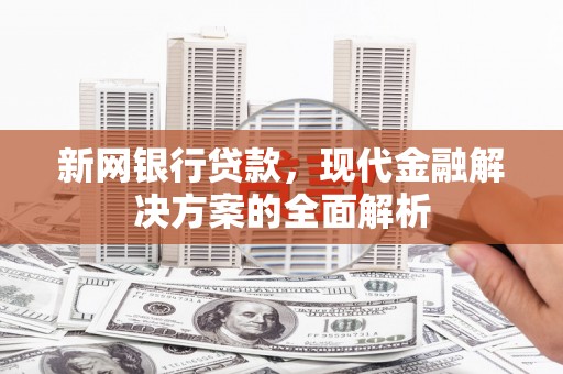 永修新网银行贷款，现代金融解决方案的全面解析