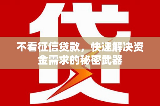 永修不看征信贷款，快速解决资金需求的秘密武器