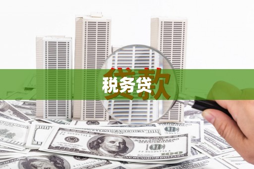 永修税务贷