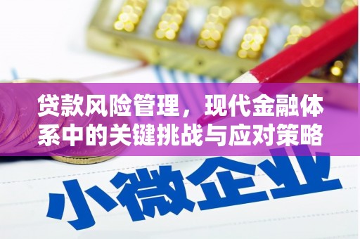 永修贷款风险管理，现代金融体系中的关键挑战与应对策略