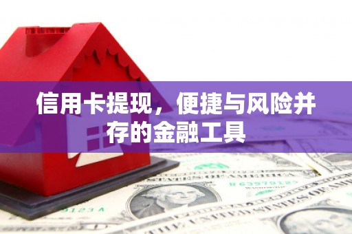 永修信用卡提现，便捷与风险并存的金融工具