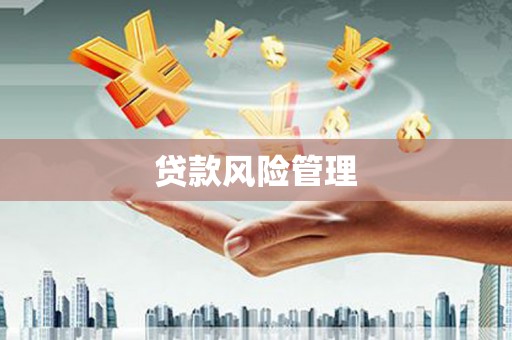 永修贷款风险管理