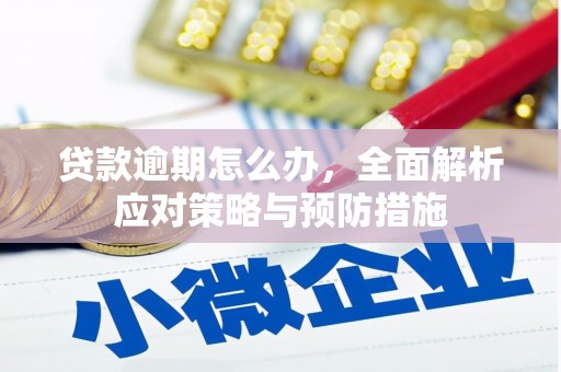 永修贷款逾期怎么办，全面解析应对策略与预防措施