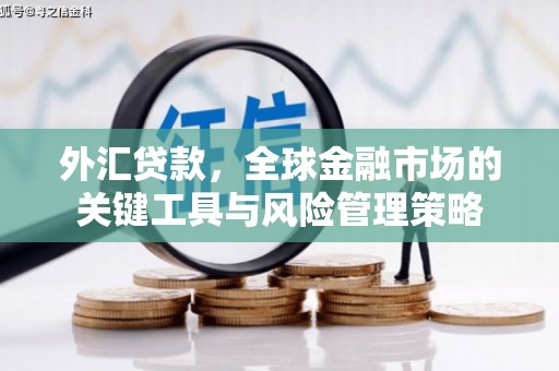 永修外汇贷款，全球金融市场的关键工具与风险管理策略