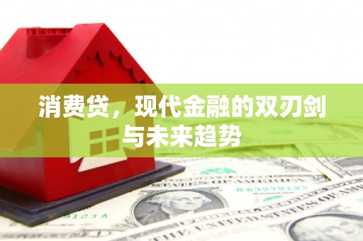 永修消费贷，现代金融的双刃剑与未来趋势