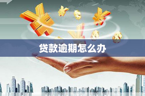 永修贷款逾期怎么办