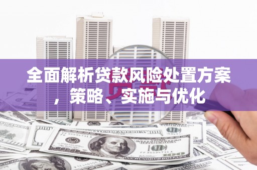 永修全面解析贷款风险处置方案，策略、实施与优化