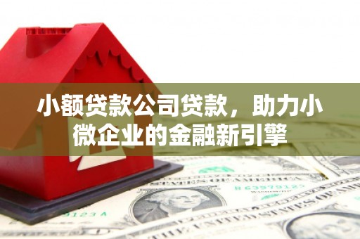 永修小额贷款公司贷款，助力小微企业的金融新引擎