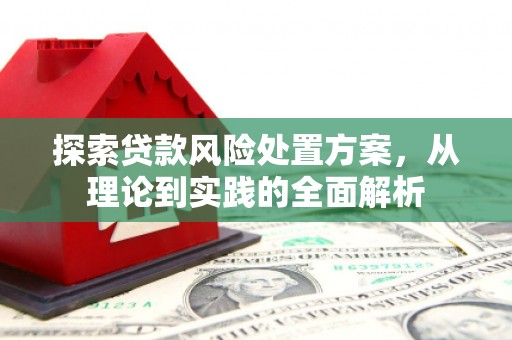 永修探索贷款风险处置方案，从理论到实践的全面解析