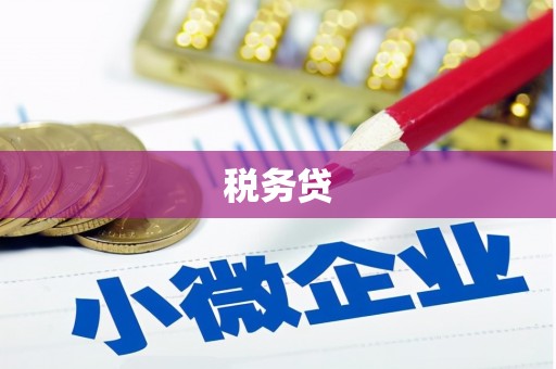 永修税务贷