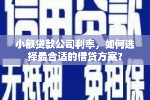 永修小额贷款公司利率，如何选择最合适的借贷方案？