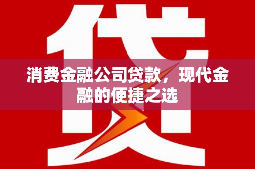 永修消费金融公司贷款，现代金融的便捷之选