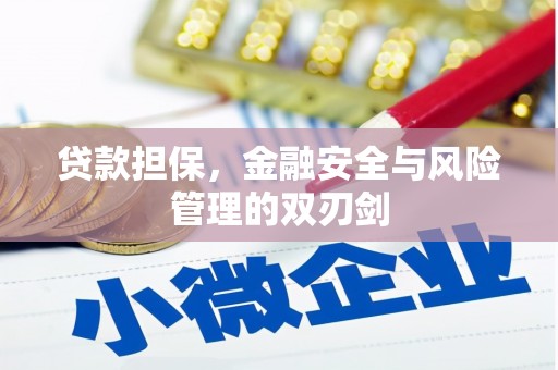 永修贷款担保，金融安全与风险管理的双刃剑