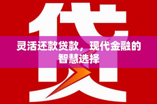 永修灵活还款贷款，现代金融的智慧选择