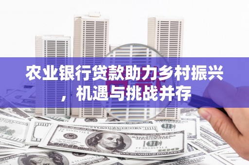 永修农业银行贷款助力乡村振兴，机遇与挑战并存
