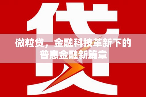 永修微粒贷，金融科技革新下的普惠金融新篇章