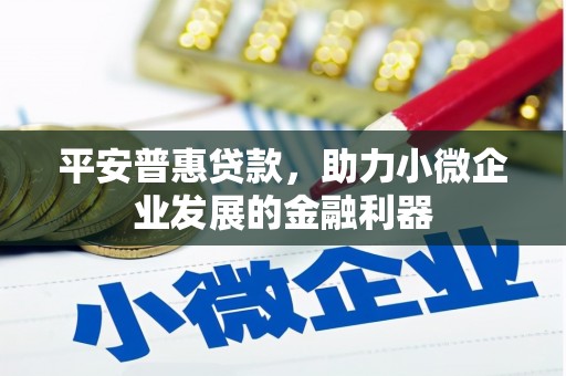 永修平安普惠贷款，助力小微企业发展的金融利器