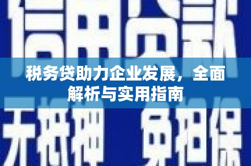 永修税务贷助力企业发展，全面解析与实用指南