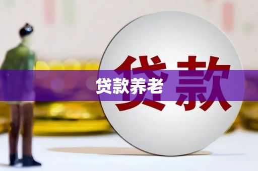 永修贷款养老