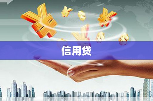 永修信用贷