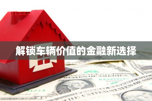 永修解锁车辆价值的金融新选择