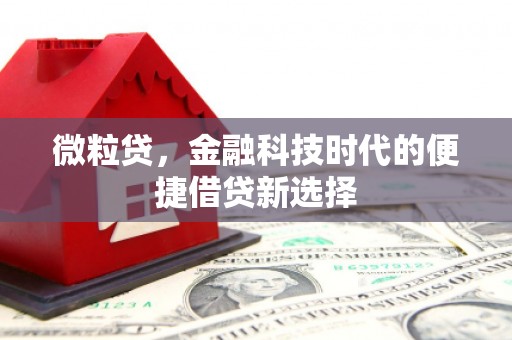 永修微粒贷，金融科技时代的便捷借贷新选择