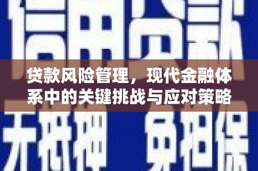永修贷款风险管理，现代金融体系中的关键挑战与应对策略