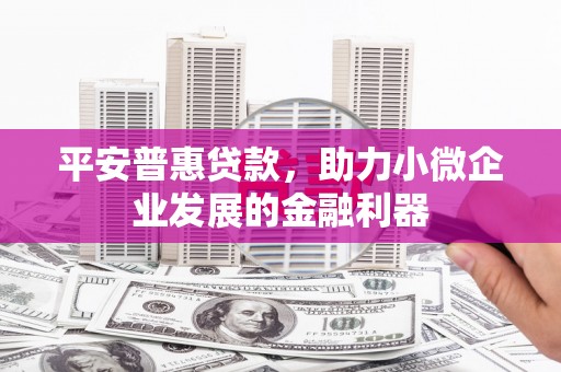 永修平安普惠贷款，助力小微企业发展的金融利器