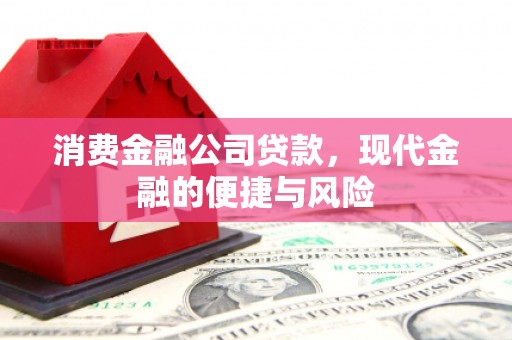 永修消费金融公司贷款，现代金融的便捷与风险